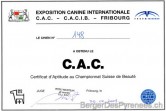 01_cac_fribourg_2009_02_22